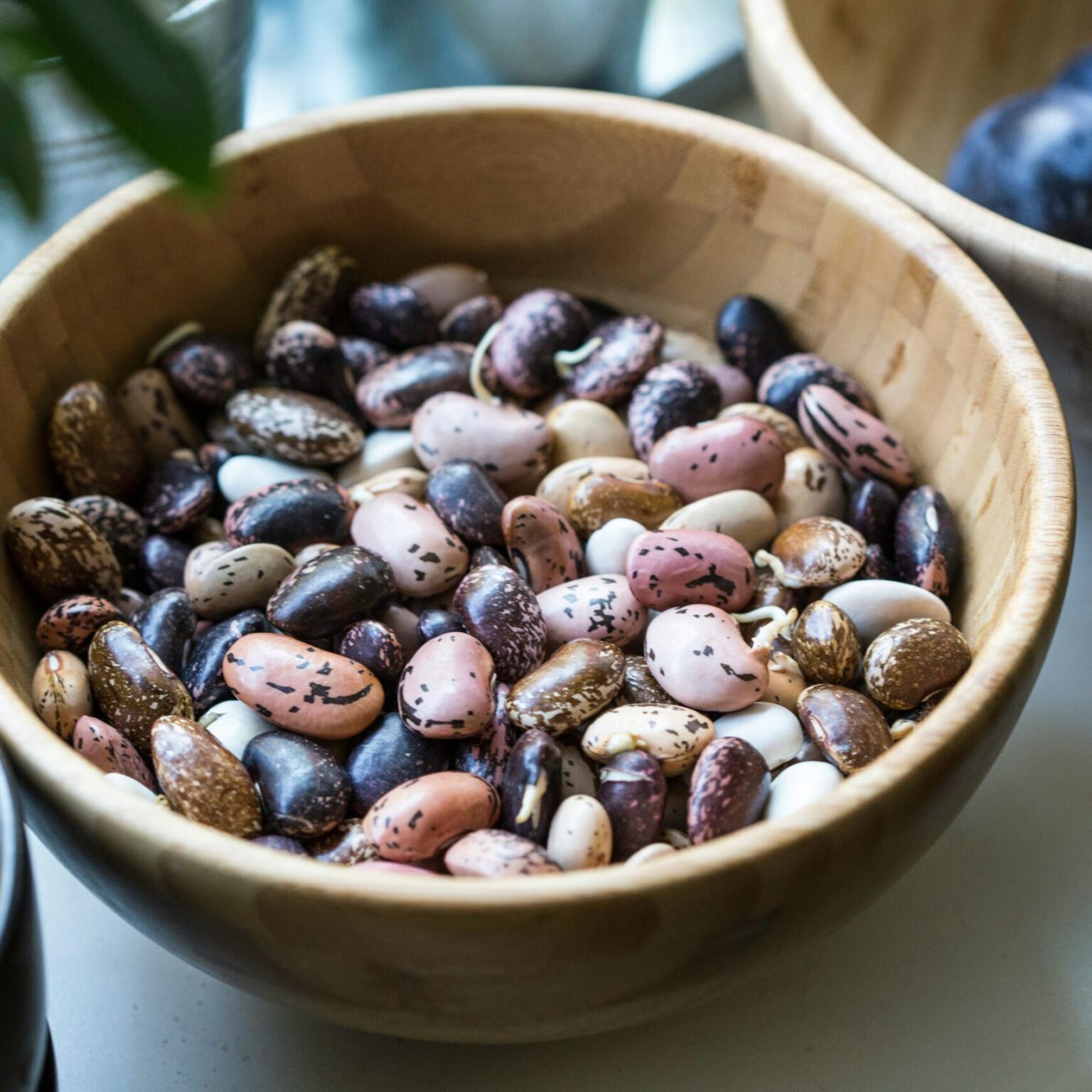 A bowl of various colorful beans in a close-up shot on a kitchen table.