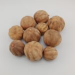DRIED WHITE LEMON - Image 2