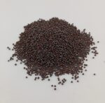 BROWN MUSTARD SEED - Image 2