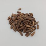 PINE NUTS IN SHELL - Image 2