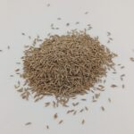 CUMIN SEED - Image 2
