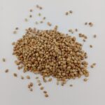CORIANDER SEED - Image 2