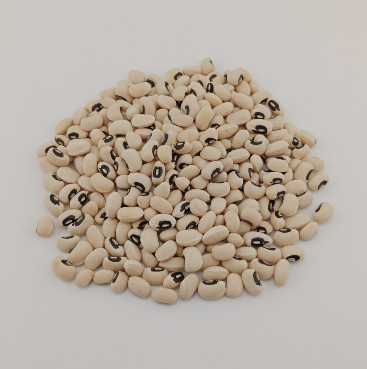BLACK EYE BEAN – Nutoz