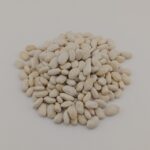 GREAT NORTHERN BEAN - Image 2