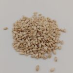 PEARL BARLEY - Image 2