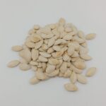 PUMPKIN SEED LARGE - Image 2