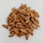 SITARBAI ALMOND KERNEL - Image 2