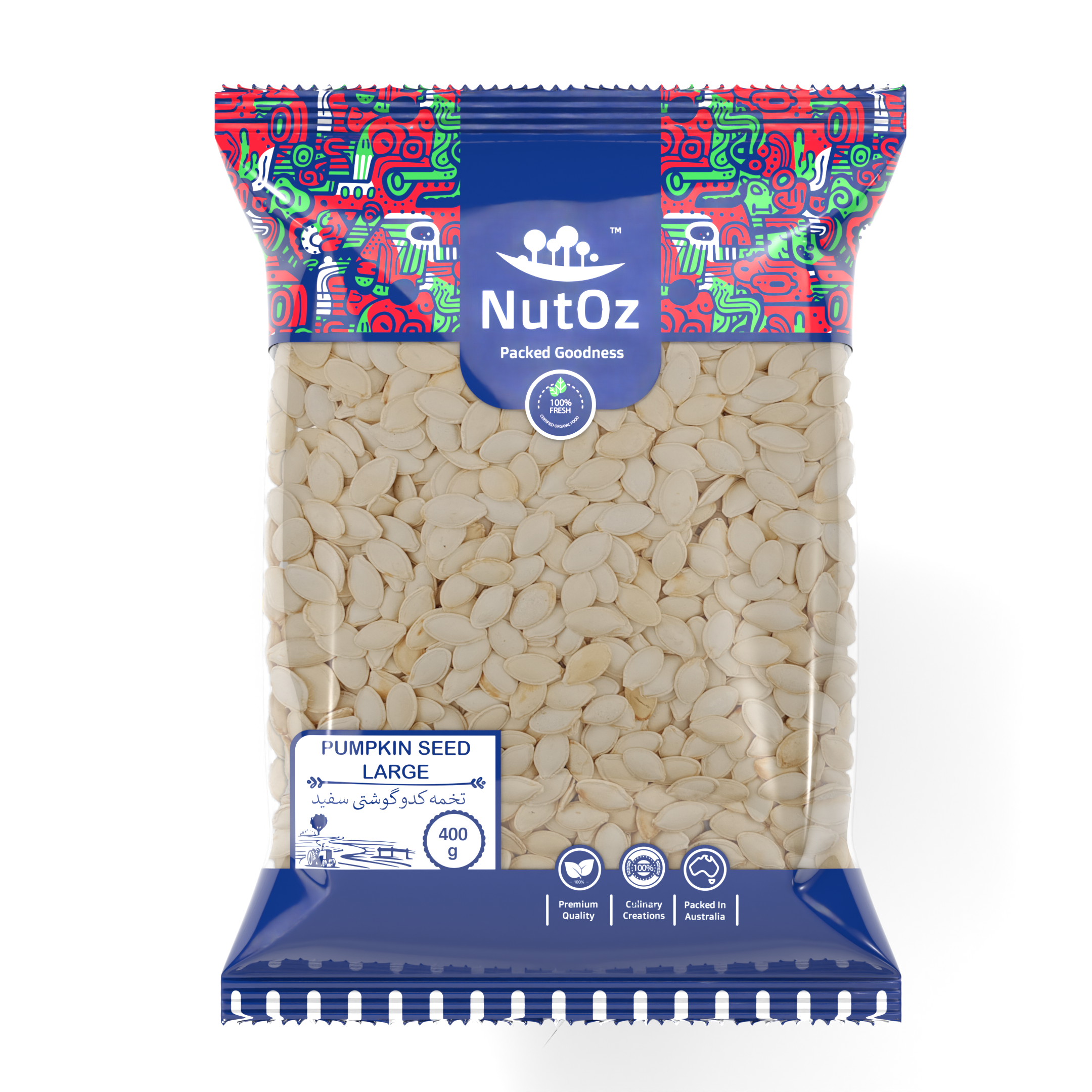 15081 PUMPKIN SEED LARGE - Image 1